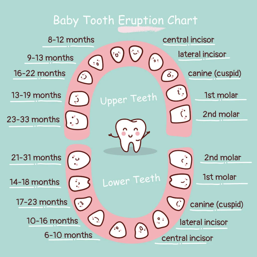 Teething: Why This Milestone Is Essential for Your Baby's Growth