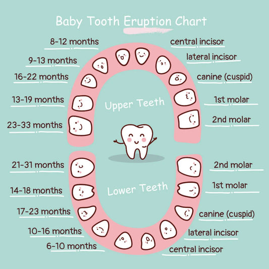 Teething: Why This Milestone Is Essential for Your Baby's Growth