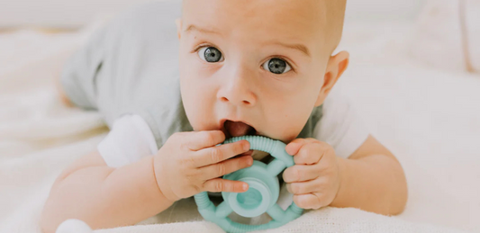 Teething Toys: A Must-Have for Soothing Your Baby's Teething Troubles - The Teething Co