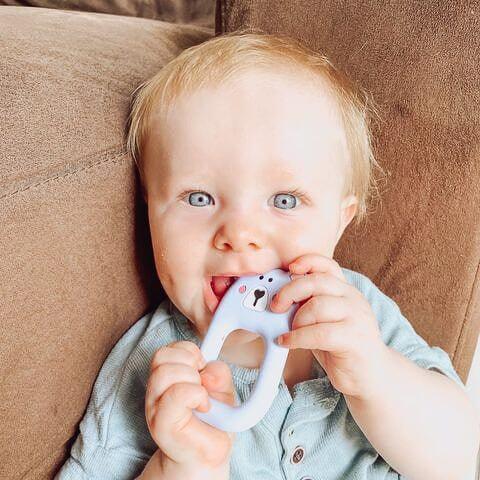 Bear Silicone Teether - The Teething Co